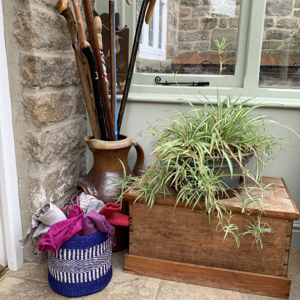 Large sisal pot in blue and natural filled with scarves beside walking sticks and a spider plant on a wooden box