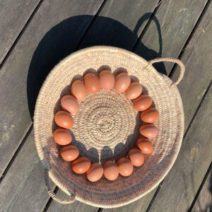 Medium round palm tray filled with eggs