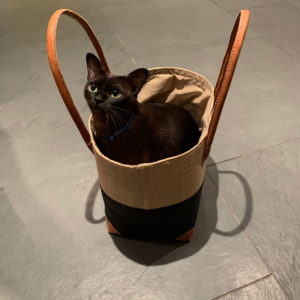 Medium Hanta Two Tone Basket with cat inside