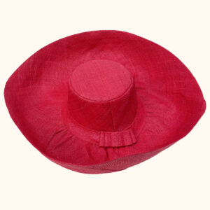 Large Mimosa Hat in red cut out photo